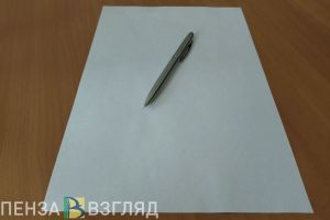 С начала 2024 года на профилактический учет поставлено 1 389 пензенских семей