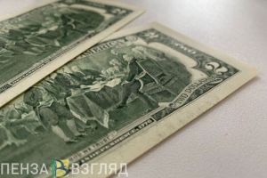 Пензенец отправил террористам 1280 долларов на проведение боевых действий