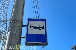 В Пензе изменят порядок предоставления транспортных льгот многодетным