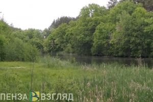 19 июня пензенцев ждут жара и гроза