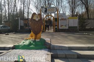 В Пензенском зоопарке появились новые обитатели