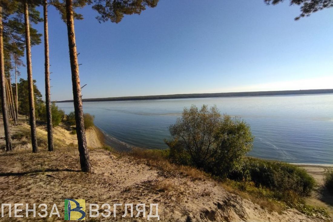 Жителей Пензенской области зовут на уборку мусора на Сурском водохранилище