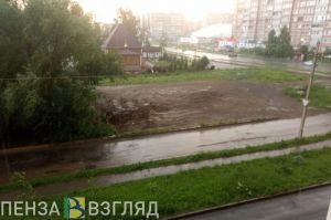 Выпавшая в окно пенсионерка, медведь в Кузнецком районе, прогнозирующийся град – новости Пензы и области за 20 июня