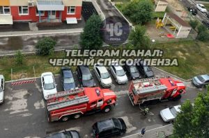 В Пензенском районе из огня спасли человека
