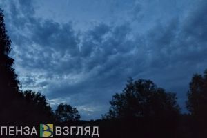 В Пензенской области вводят режим повышенной готовности