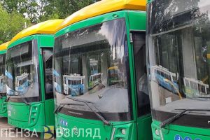 В Пензе прорабатывают троллейбусный маршрут по улице Кижеватова