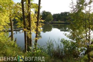 24 июня пензенцев ждет ночной дождь и +25 градусов днем
