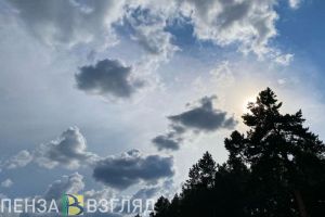 Пензенцев не устроили адреса возможных укрытий на случай атаки беспилотника