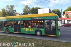 Детям из многодетных семей в Пензе предоставят транспортные льготы по-новому
