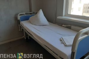 В 2024 году 660 жителей Пензенской области пострадали от нападения клещей