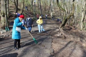 В начале июля стартует благоустройство Тропы здоровья в Пензе