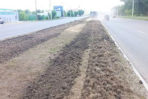 На улицах Ленина и Чаадаева в Пензе сделают новый газон