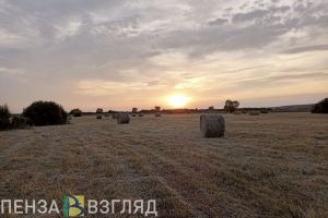 В 2024 году в Пензенской области в оборот введут 11 000 га неиспользуемых земель