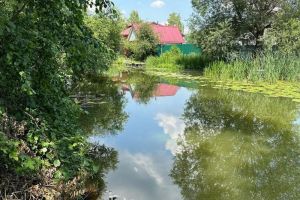 Эксперты объяснили, где нужно искать причину гибели рыбы в Старой Суре