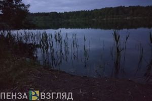 Установлена личность погибшего на пруду в Богословке Пензенской области