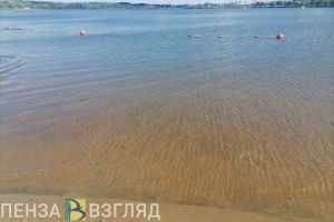 Пензенская полиция задержала мужчину, подозреваемого в незаконной съемке детей