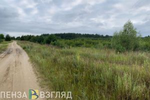 В Пензенской области завтра прогнозируют высокую пожарную опасность