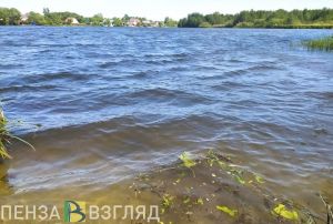 Следком разбирается в обстоятельствах смерти мужчины на пруду в Средней Елюзани