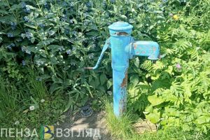 Жители села под Пензой в 30-градусную жару уже сутки лишены воды