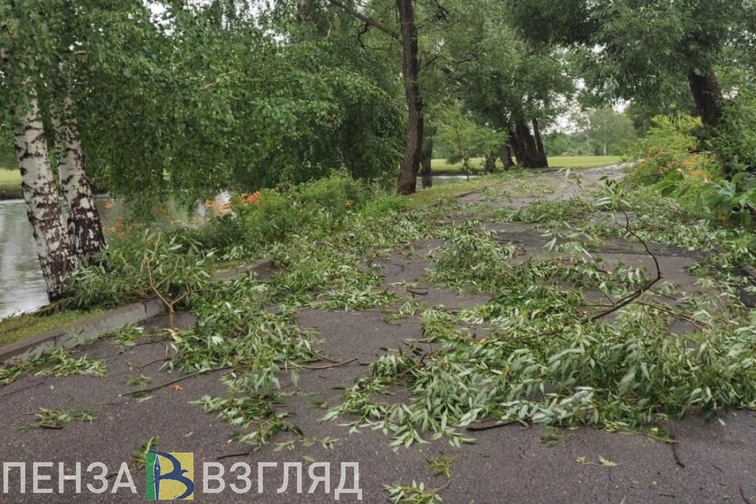 В пензенских «Тарханах» из-за урагана отключался свет и прекратилась подача  воды