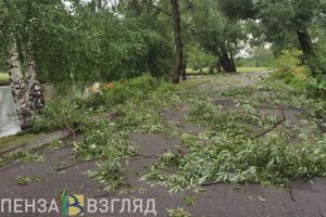 В пензенских «Тарханах» из-за урагана отключался свет и прекратилась подача воды