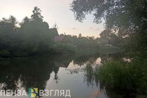Пензенцам напомнили, как вести себя на воде, чтобы избежать несчастных случаев