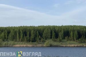 На пруду в Кузнецком районе утонула женщина