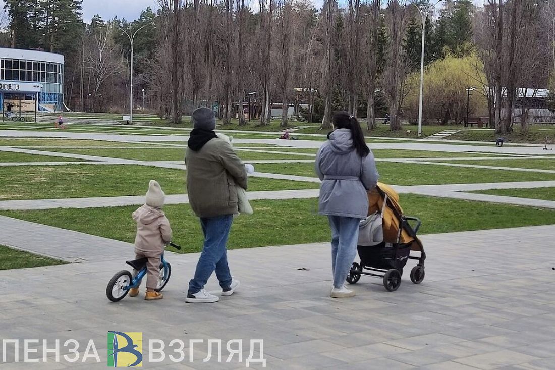 Пензячкам с маленькими детьми могут дать дополнительный выходной