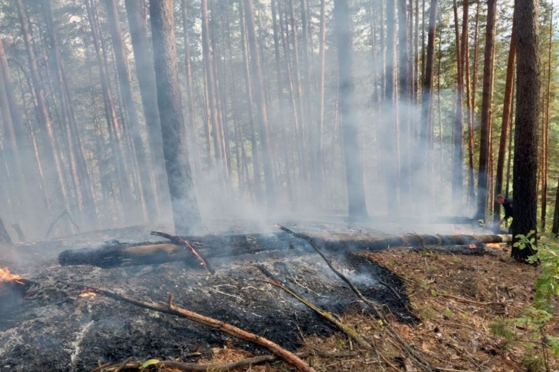 Ночью в Пензенской области тушили деревянный дом