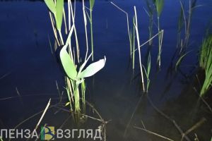 Златогорский рассказал об обстоятельствах гибели мальчика, купавшегося в пруду