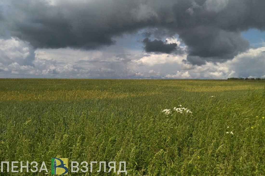 Жителей Пензенской области 10 июля ожидают жара и гроза