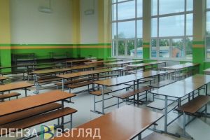 В Пензенской области после массового заражения детей проверили 251 лагерь