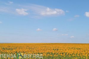 В Пензенской области 13 июля ожидается +29 градусов