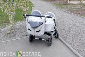 Анна Кузнецова рассказала пензенцам о трех факторах увеличения рождаемости