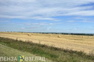 Пензенцев заверили в достаточной мощности элеваторов региона для приема урожая