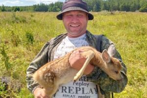 В заказнике на территории Пензенской области спасли олененка