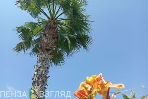 Пензенцы смогут ездить в Таиланд без виз на срок до 60 дней в любое время