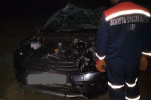 На дороге под Пензой лесное животное разбило лобовое стекло автомобиля