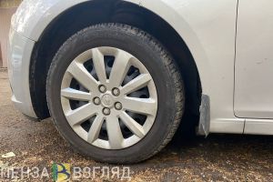 Водитель загоревшейся машины в Пензенском районе погиб