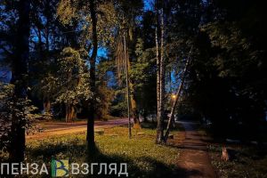 Вильфанд сообщил пензенцам о скором прощании с «египетскими» ночами