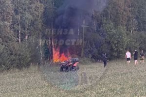 В Пензенской области автомобиль съехал с дороги, врезался в дерево и запылал
