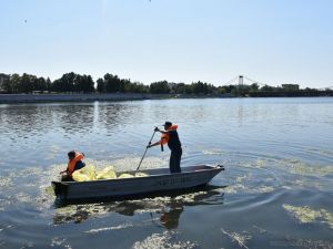 В Пензе начали очищать водную гладь Суры в районе моста Дружбы