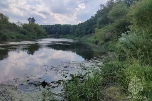 В МЧС сообщили подробности гибели мальчика на реке в Беково