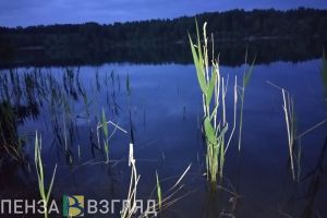 В стоячих водоемах пензенцев могут поджидать личинки, вызывающие «зуд купальщика»