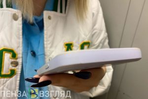 СФР открыл чат поддержки для пензенских работодателей