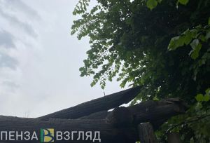 Прокуратура проводит проверку в связи с гибелью девочки при пожаре в Земетчино