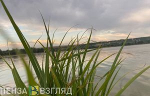 Роспотребнадзор не рекомендовал купаться на пяти пензенских пляжах