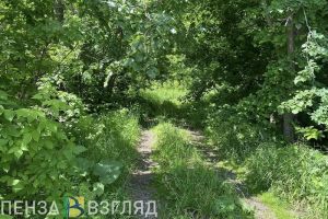 В Пензе пятый день ищут пропавшую 32-летнюю беременную женщину