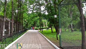 В Пензенский зоопарк намерены привезти тигра и белую медведицу