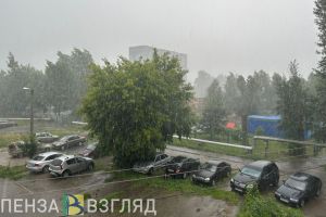 В Пензенскую область на выходных придут дожди, грозы и ветра